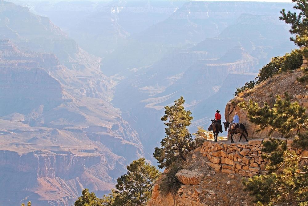 Grand Canyon Kachina Lodge מראה חיצוני תמונה