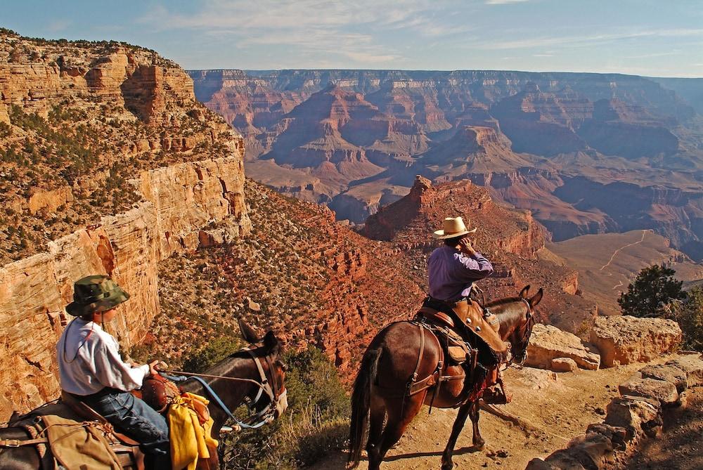 Grand Canyon Kachina Lodge מראה חיצוני תמונה